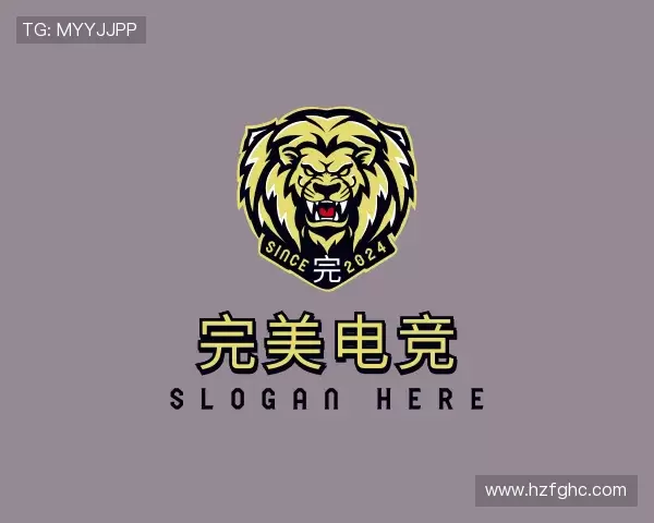 关于完美电竞
